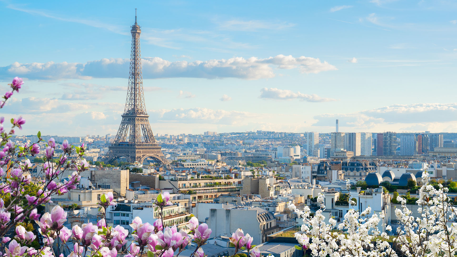 European and Worldwide Vacations Travel Planner Vacation Concierge